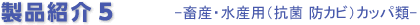 iЉ5@{YEYpiRہ@hJrjJbpށ@
